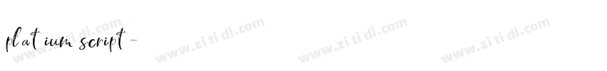 platium script字体转换 platium script字体转换